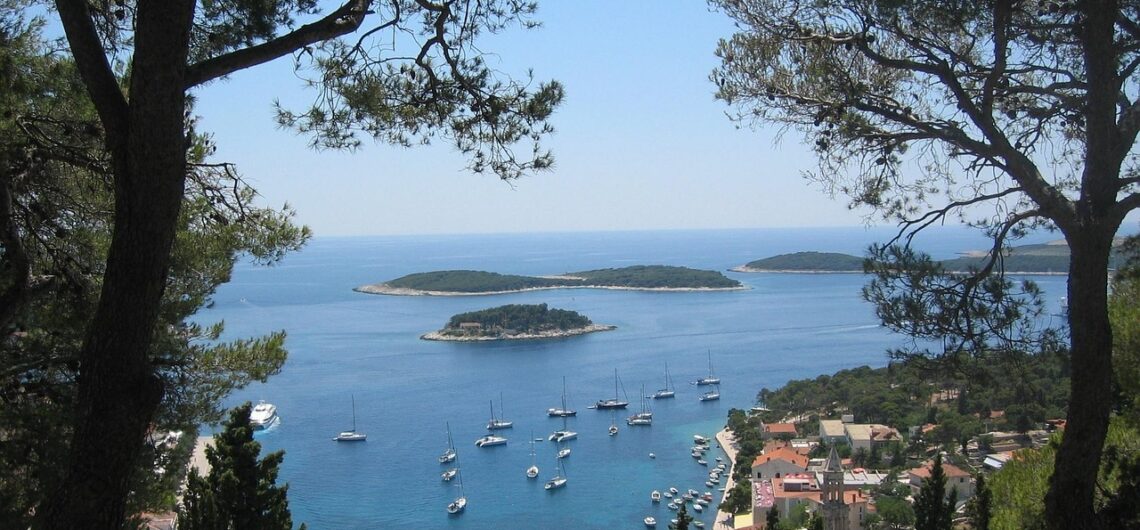 thank you barbaragnelson